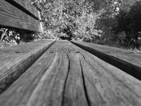 Photography: Скамейка в парке