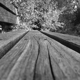 Photography: Скамейка в парке